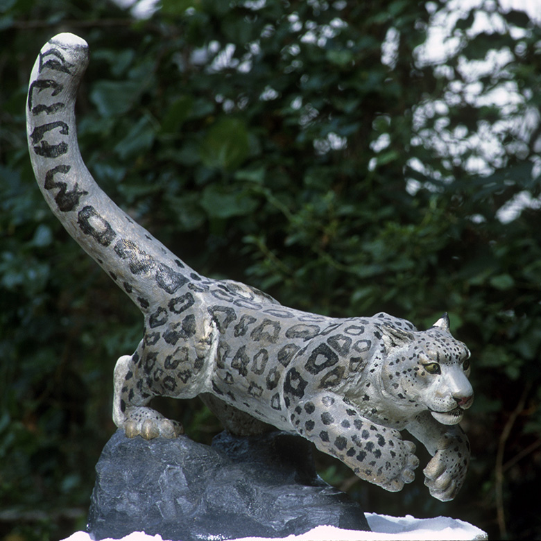 Snow Leopard Leaping